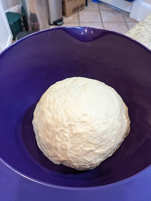 bagel dough after kneading