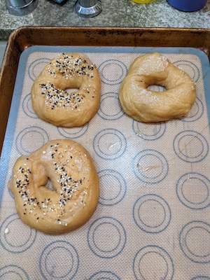 bagels after boiling before baking