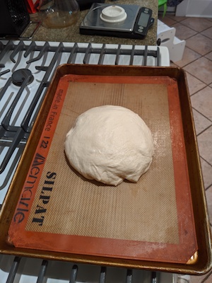 dough rising