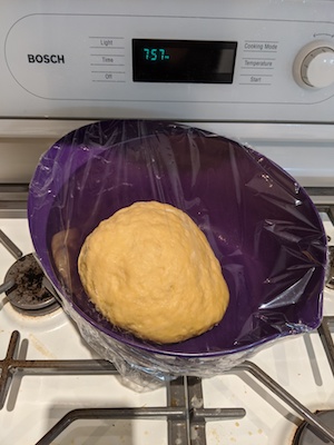 dough rising