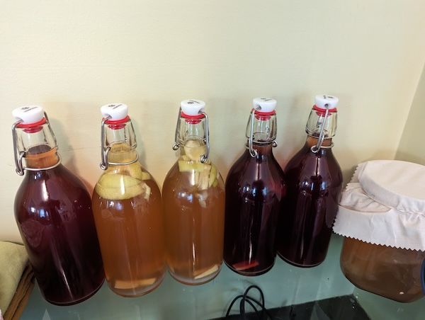 Kombucha