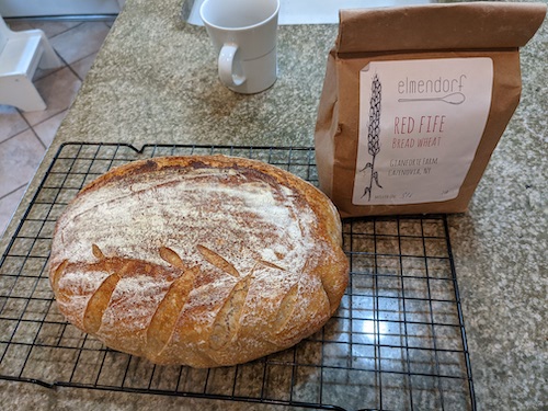 Sourdough bread revisited