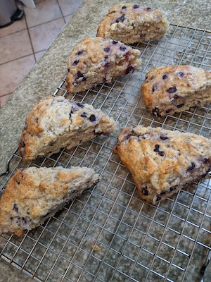 Sourdough Blueberry Scones