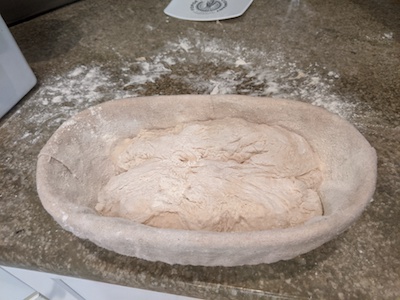 dough in proofing bowl