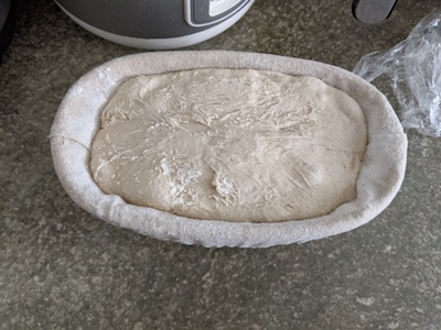 dough coming out of fridge