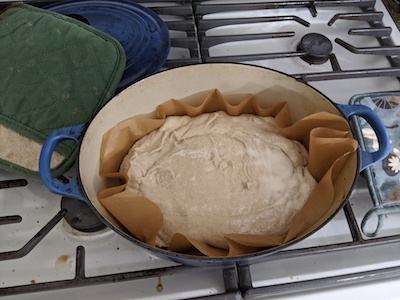 dough in dutch oven