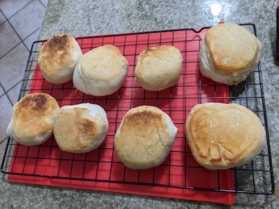 Sourdough English Muffins