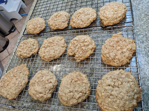 Sourdough Oatmeal Cookies