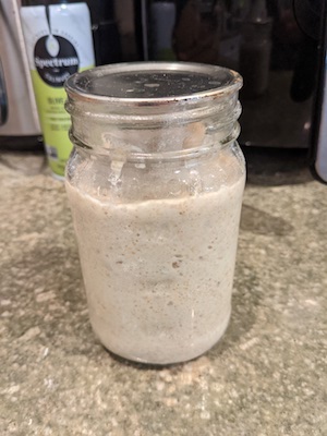 Sourdough Starter