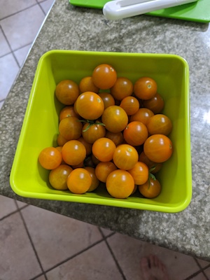 Porch tomatoes